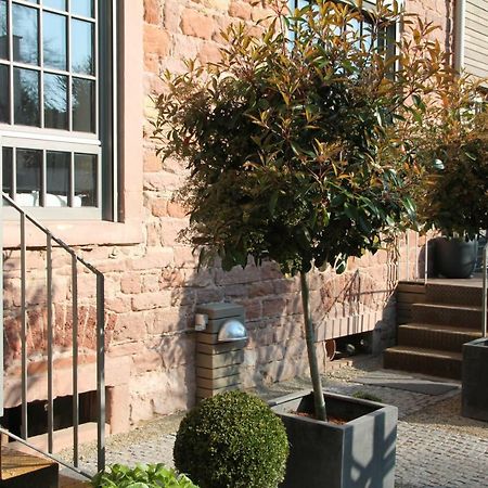 Junior Suite The Backyard Tby 01 Tréveris Exterior foto